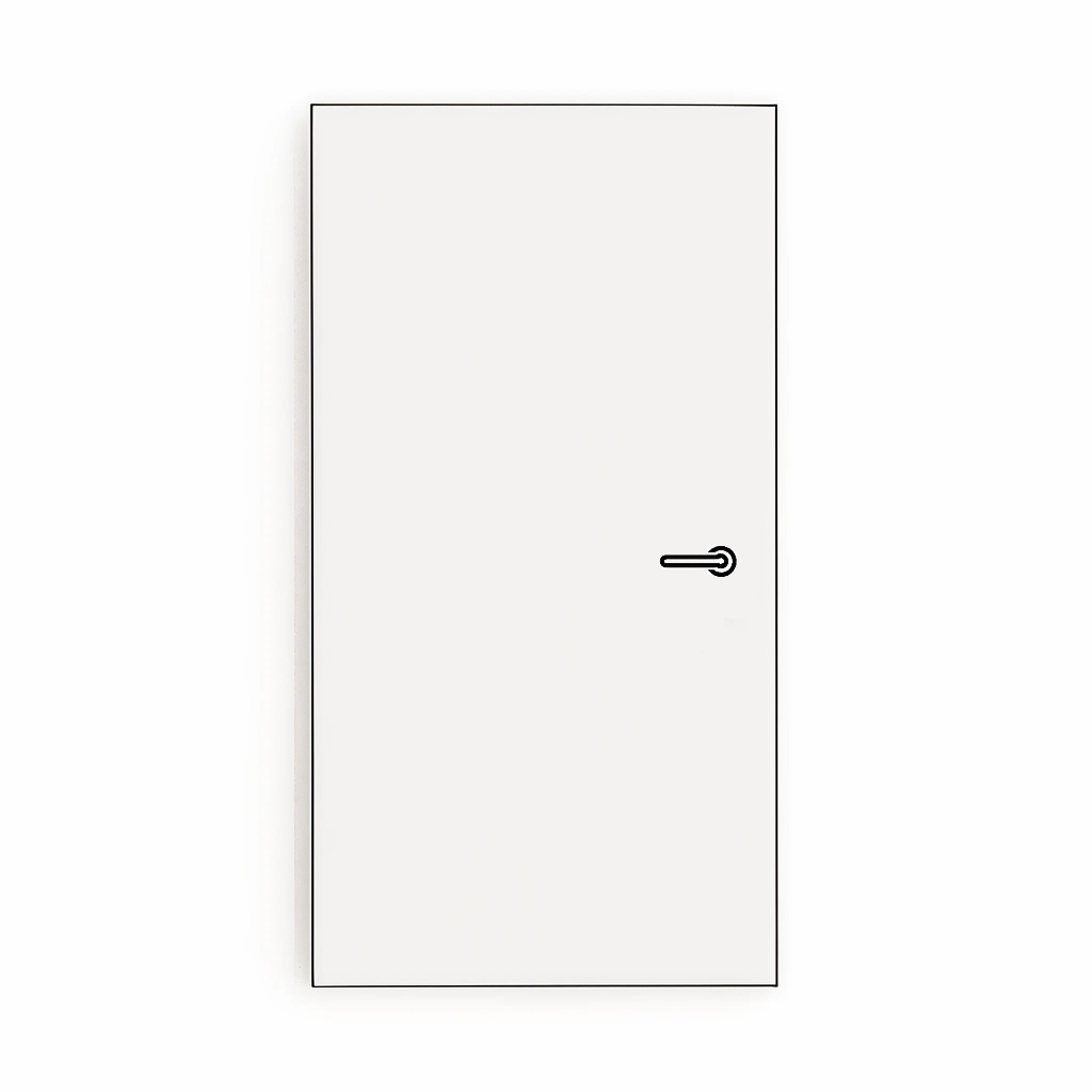 Single Frameless Doors