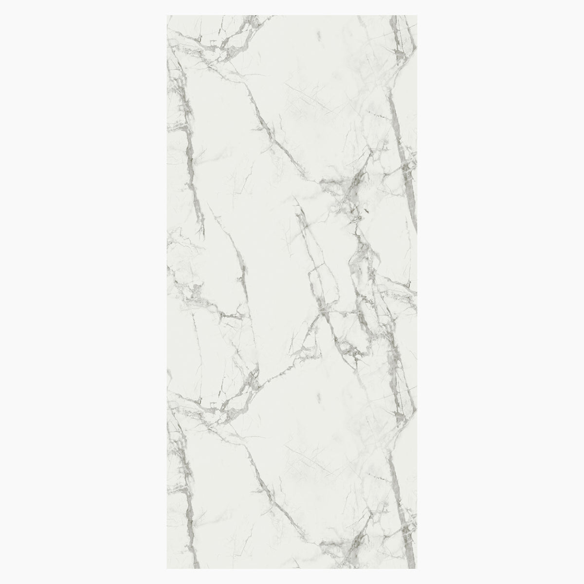 VILO Wall SPC Calacatta snow full matt 47 1/4" x 104 5/16" - Doors and Beyond