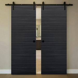 Nova Flush Braga Blu Matrix Laminated Modern Double Barn Door - Doors and Beyond