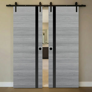 Nova 1G Braga Olmo Matrix Laminated Modern Double Barn Door - Doors and Beyond