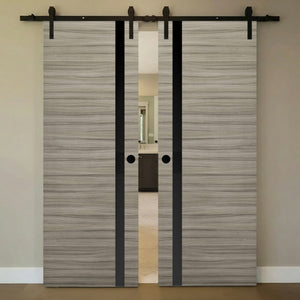 Nova 1G Braga Palissandro Matrix Laminated Modern Double Barn Door - Doors and Beyond