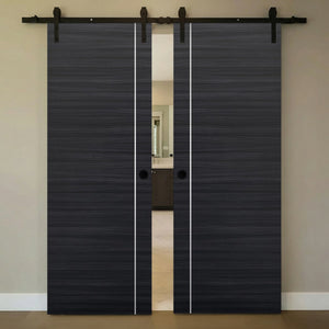 Nova 1V Braga Blu Matrix Laminated Modern Double Barn Door - Doors and Beyond