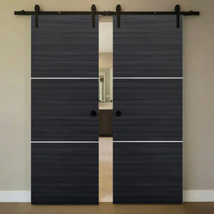 Nova 2H Braga Blu Matrix Laminated Modern Double Barn Door - Doors and Beyond