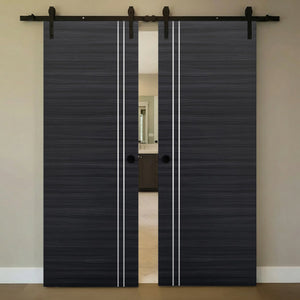 Nova 2V Braga Blu Matrix Laminated Modern Double Barn Door - Doors and Beyond