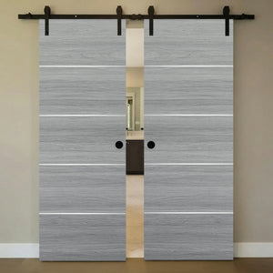 Nova 4H Braga Olmo Matrix Laminated Modern Double Barn Door - Doors and Beyond