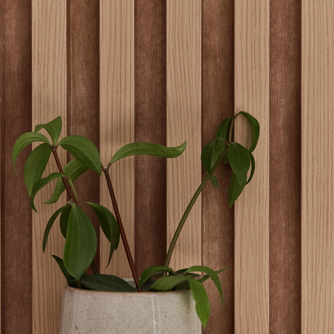 VOX Linerio L-Line Natural Slat Panel 104 5/16" x 4 13/16" x 13/16" - Doors and Beyond