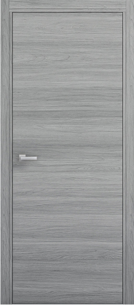 Gray wooden door with a silver handle on a white background