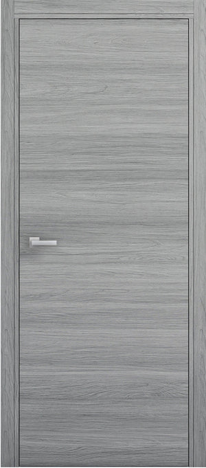 Gray wooden door with a silver handle on a white background