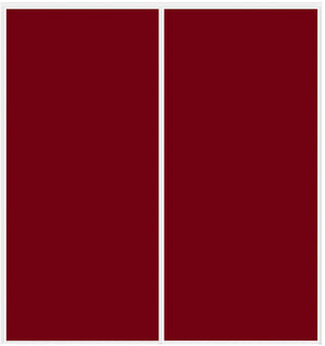 Custom Sliding White Aluminum Doors - Style 01 - 2 doors - Burgundy Glass - Doors and Beyond