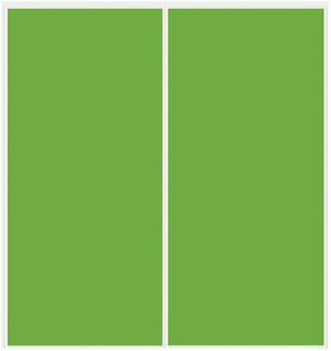 Custom Sliding White Aluminum Doors - Style 01 - 2 doors - Lime Green Glass - Doors and Beyond