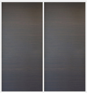 Custom Sliding White Aluminum Doors - Style 01 - 2 doors  - Japan Oak - Doors and Beyond