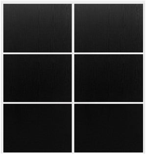Custom Sliding White Aluminum Doors - Style 03 - 2 doors  - Black Ash - Doors and Beyond